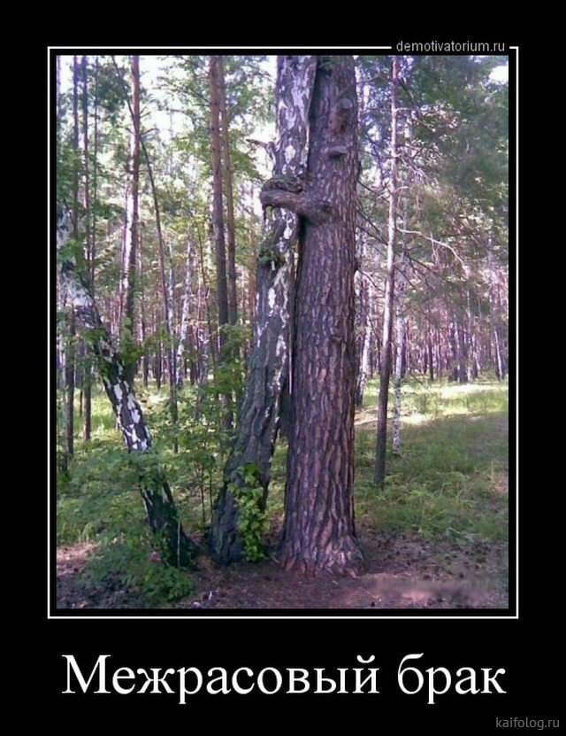 ...НЕ ПРОБЛЕМА, ПОТОМУ, ЧТО...