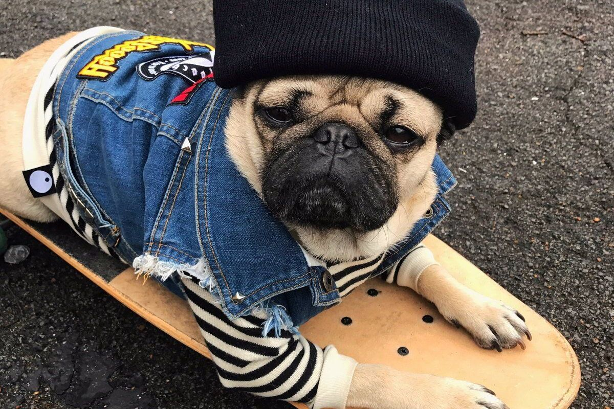 Узаконивание и защита особенностей