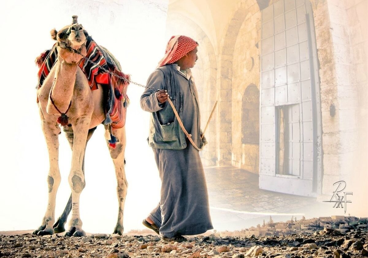 Ворота игольные уши в иерусалиме. Удобнее верблюду. Верблюды в иголке. Вебблюд и игольчатое ушко. Верблюд пролезет в игольное ушко.