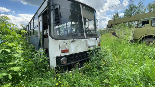 Пошёл в кусты, а нашёл там автобус Икарус, ну и заглянул внутрь 🌿🚌🌿