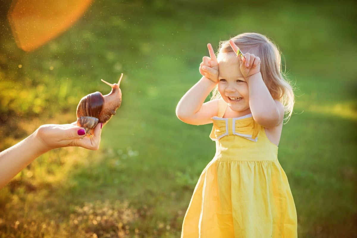 фото взято из открытых источников интернета