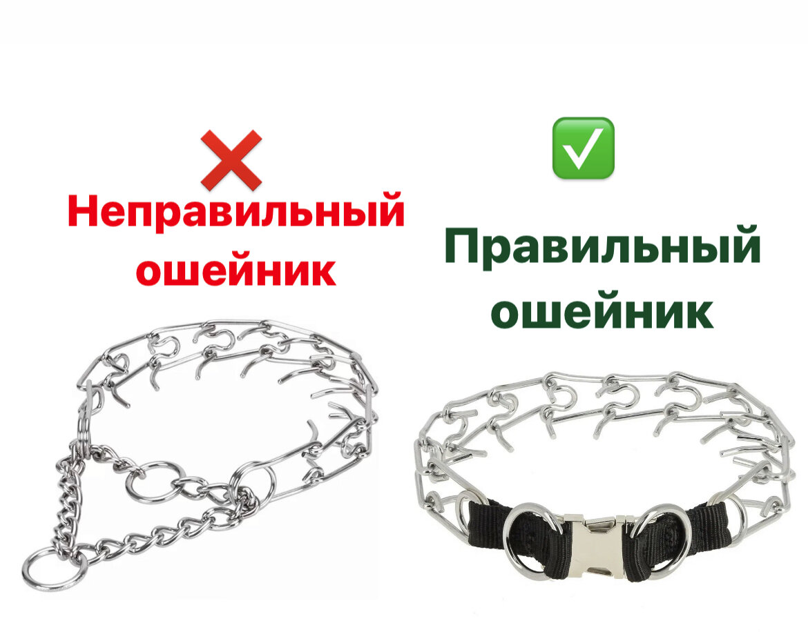 Херня из ближайшего зоомагазина и нормальный строгач 