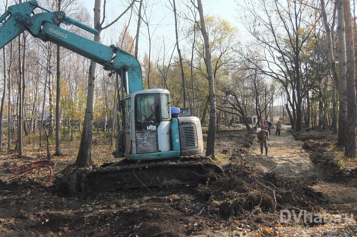    Работы по благоустройству парка имени Гагарина