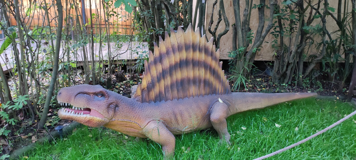 Парк динозавров, Сочи 