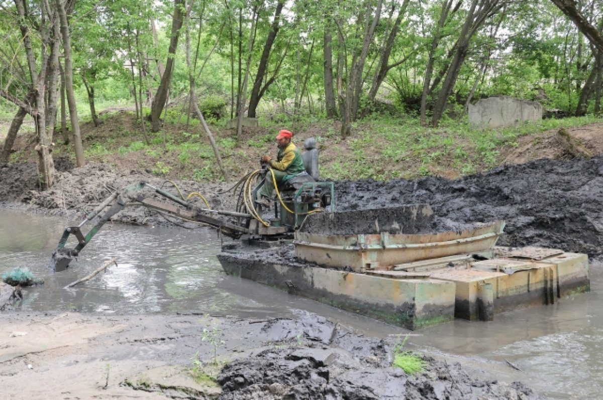    Благоустройство берегов Борзовки началось в Нижнем Новгороде