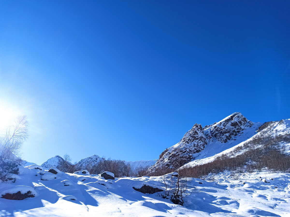 Начало курумника