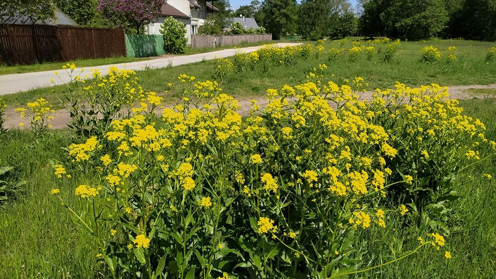 ФОТО: VICTOR LISITSYN/GLOBALLOOKPRESS