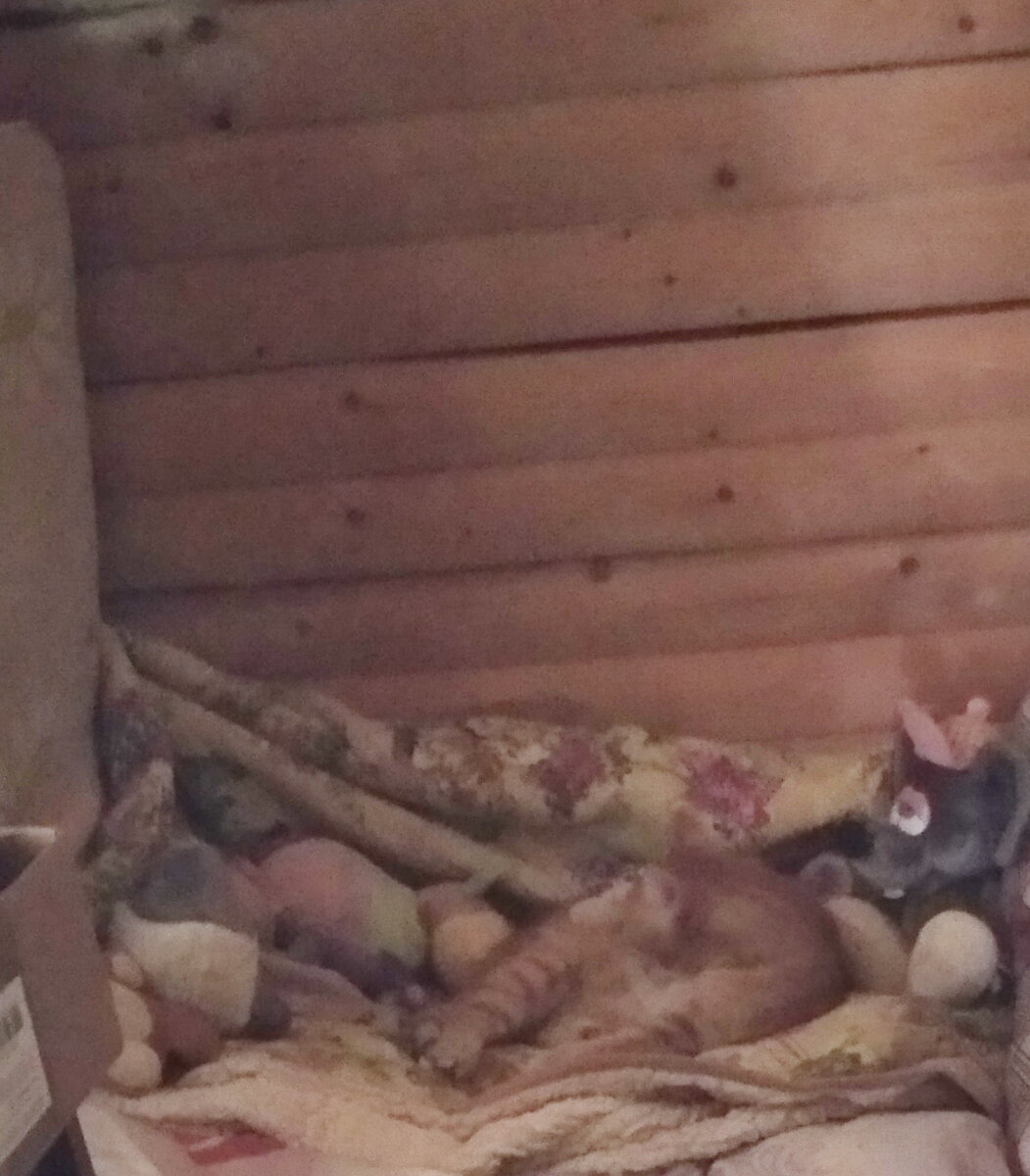 Личное  фото.