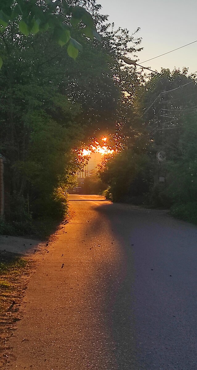 Возвращаясь сегодня после портретной практики, мы сегодня отлично порисовали портреты, проехав по поселку Красково километр от станции я набрёл вот на такой волшебный свет сквозь листву, пробивающийся сквозь листву и разделяющий дорогу на свет и тьму.