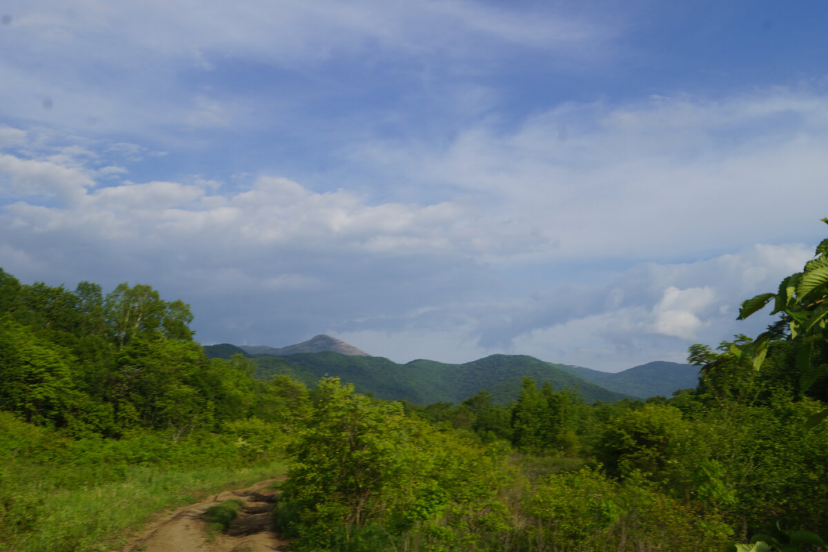 Фото из фотоархива Нагорного Алексея и Светлой Лилии 