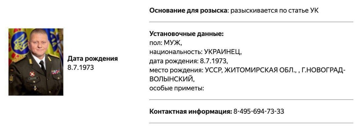    Главкома ВСУ Валерия Залужного объявили в розыск МВД РФ