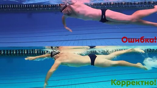 КАК ПРАВИЛЬНО ПЛАВАТЬ КРОЛЕМ. ОШИБКИ ГРЕБКА | Школа плавания - Silver ...