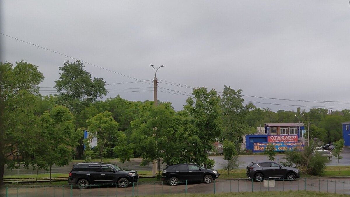     Граждане будут сегодня вольно и невольно все прогуливать, приговаривая по советской привычке: «Пускай работает железная пила — не для работы меня мама родила». Только вот досада Праздник прогульщика приходится на субботу, а этот день для большинства выходной.