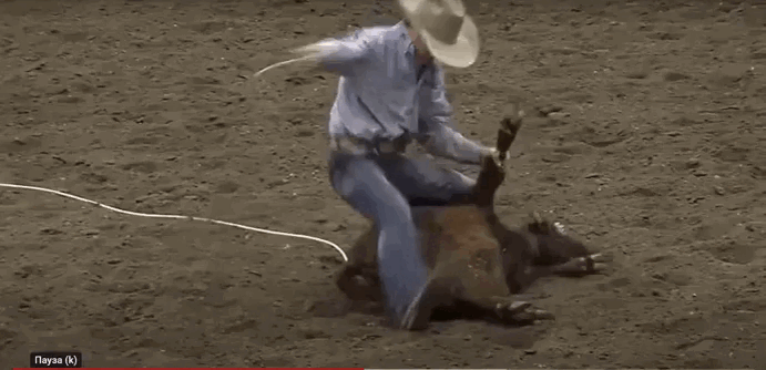Gif автора