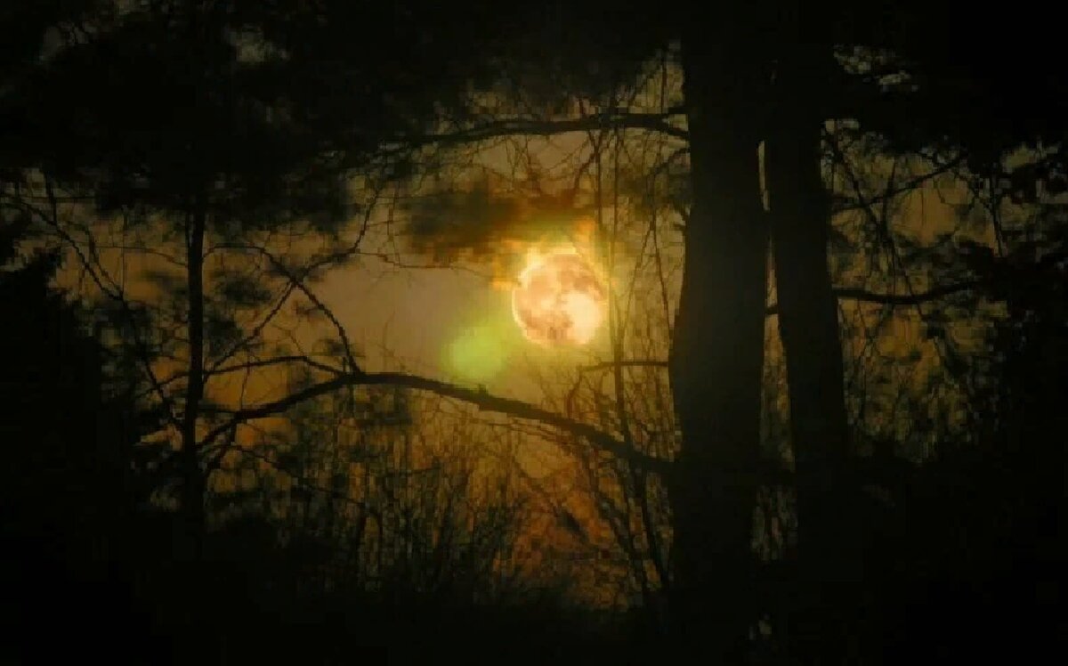 фото из интернета