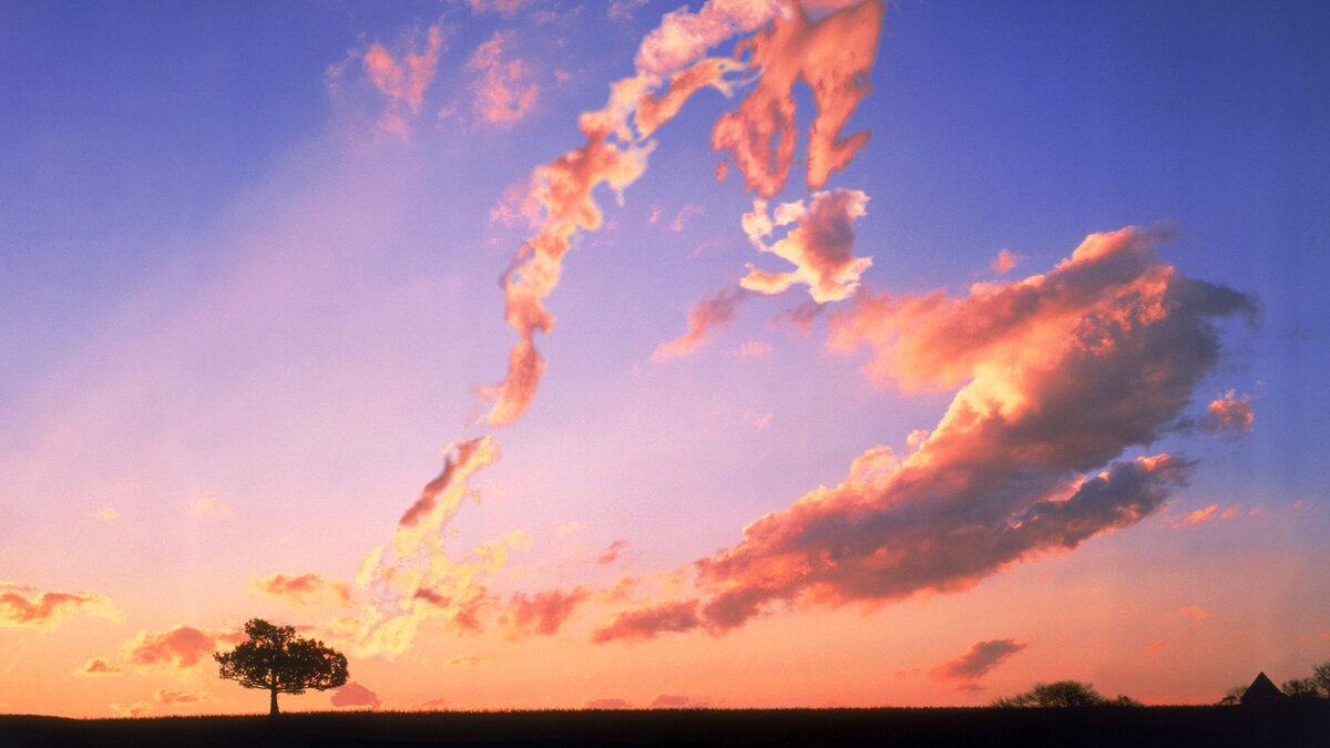 Изображение из открытых источников