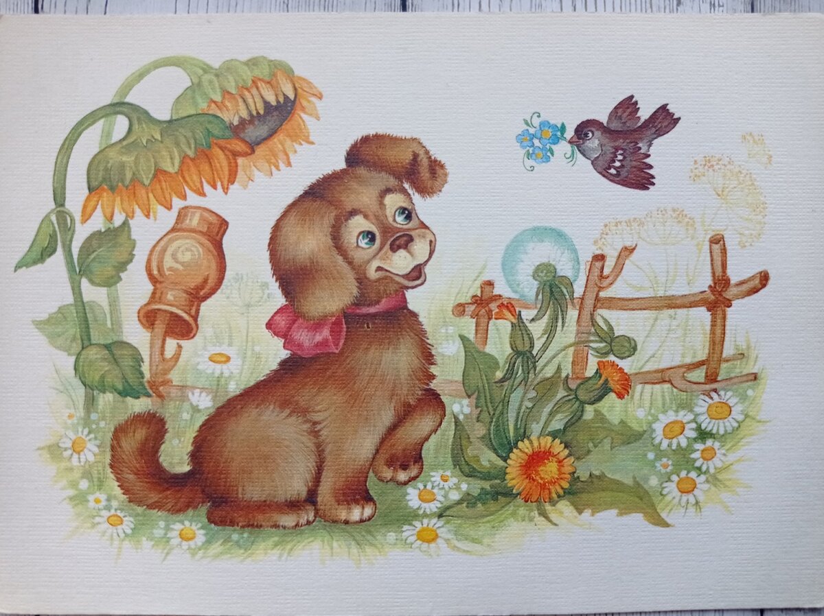 иллюстрация пудель и птичка. пудель иллюстрация. пудель артемон. пудель и птичка. юлия неприятель художник картины.