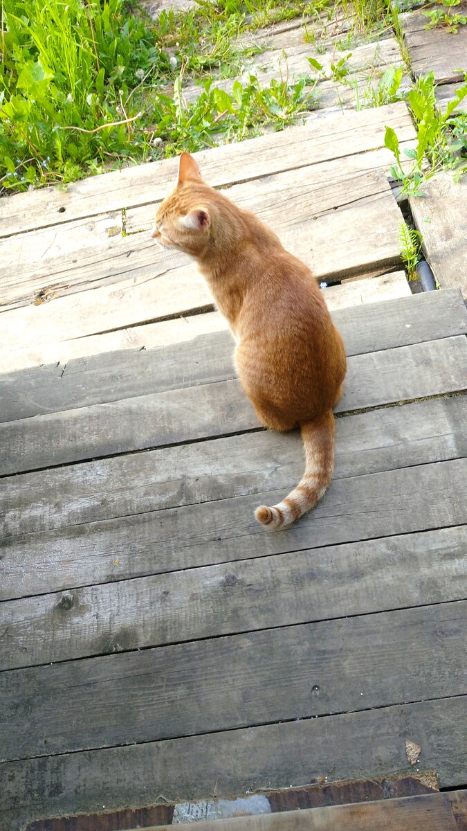 Личное фото.