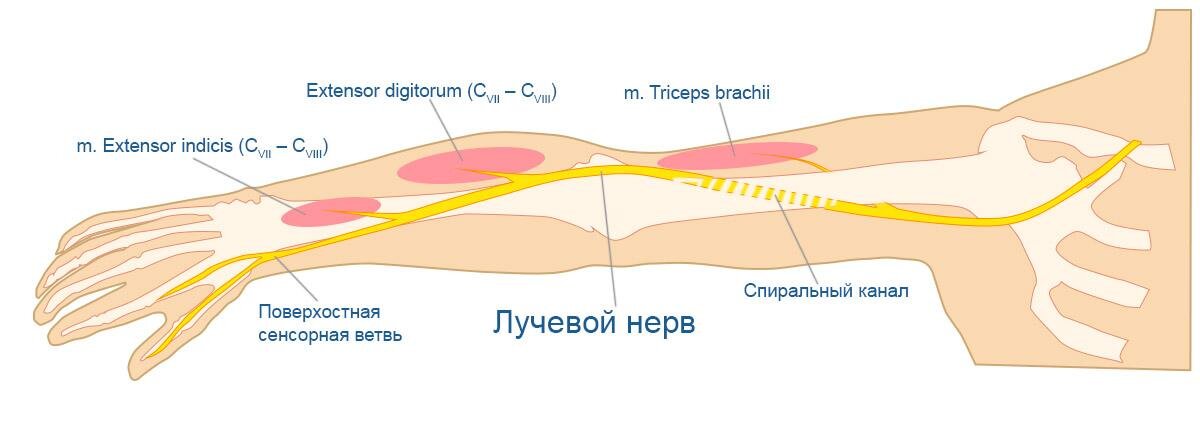 Лечение туннельного синдрома в Запорожье