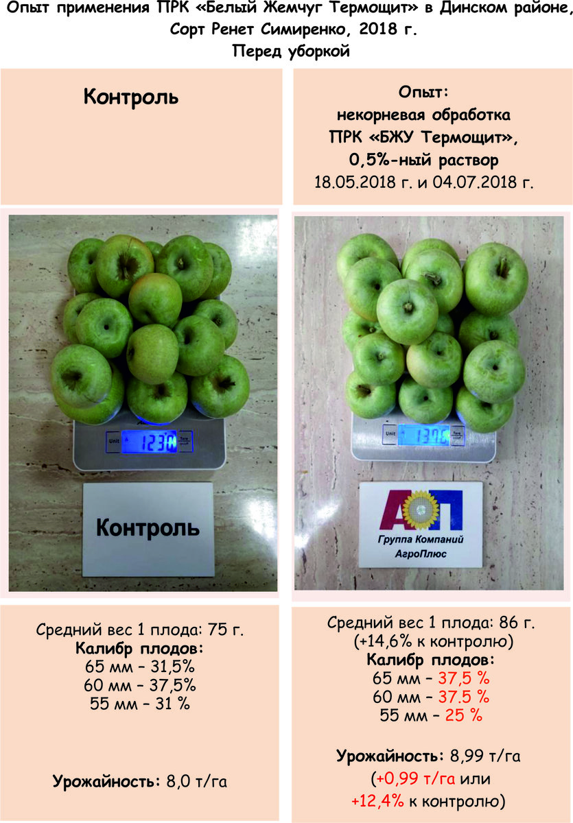 Практика применения ПРК «Белый Жемчуг Термощит» Многолетние плодовые |  Группа Компаний АгроПлюс | Дзен
