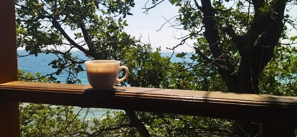 Кофе в беседке