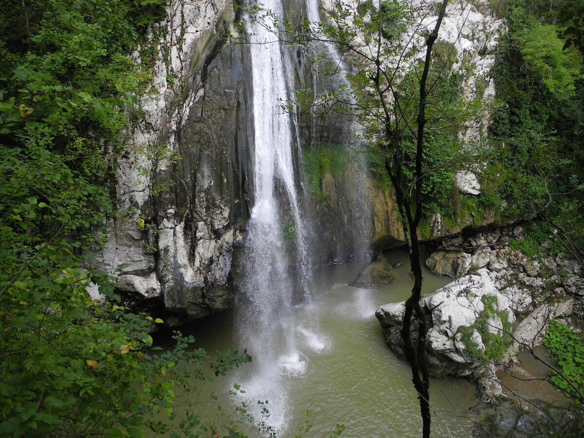 Фото из открытого источника 