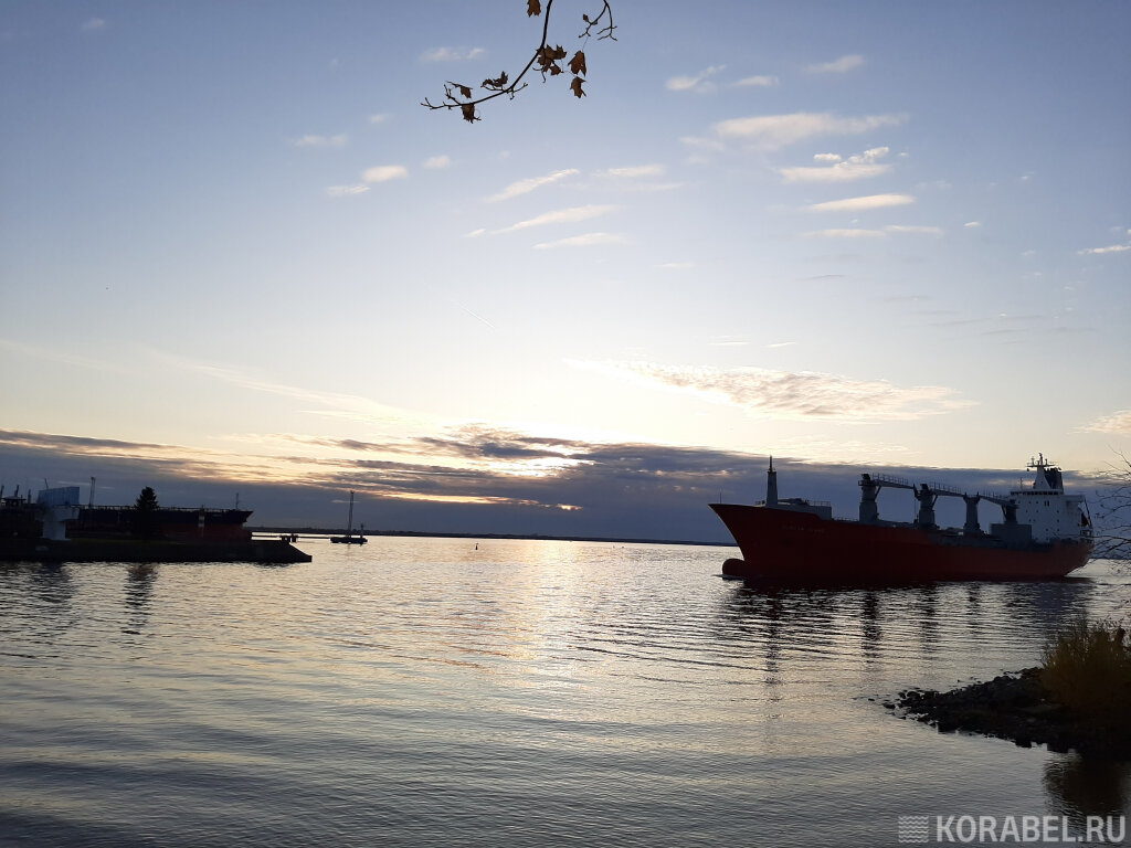Заход сухогруза в морской порт Санкт-Петербург / Фото: Корабел.ру  📷
