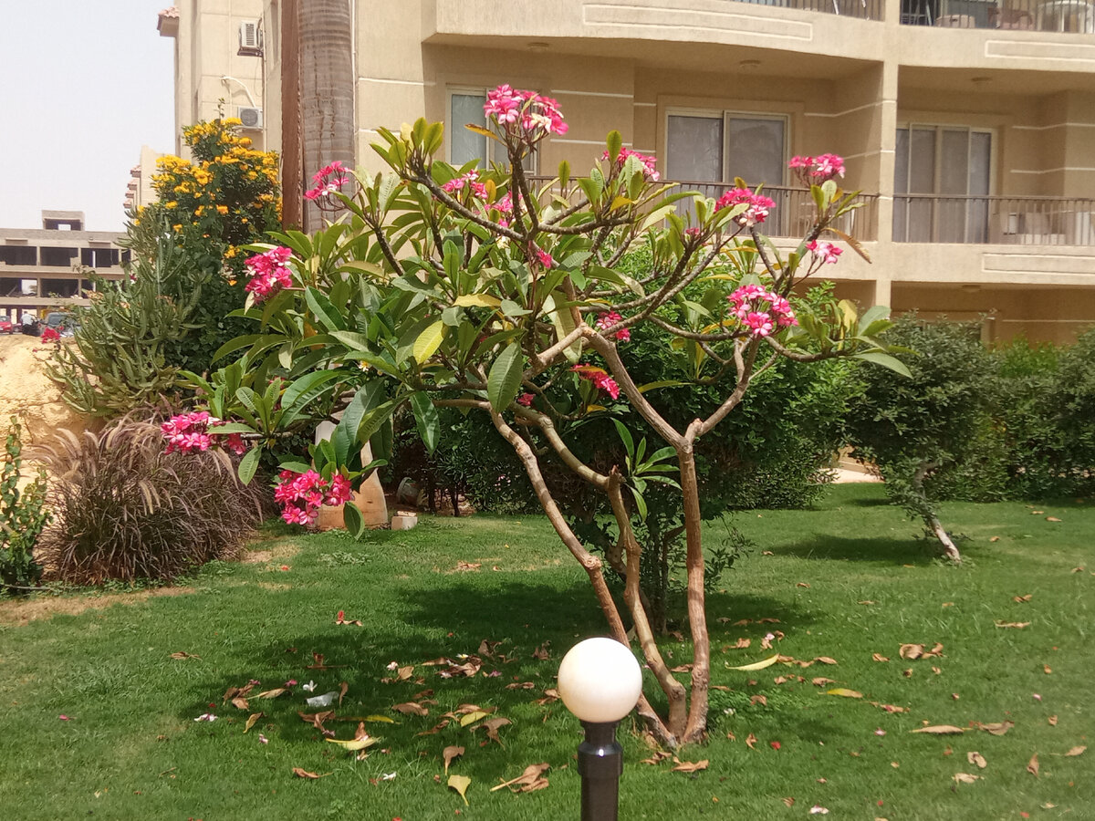 Из личного архива