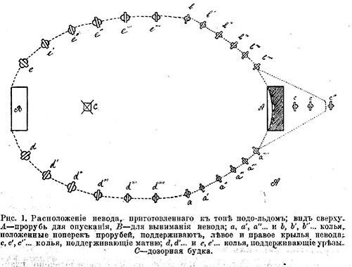 Невод. /Розов В.Е. О рыбном промысле в сел. Ковда и соседних селениях на берегу Кандалакшской губы 1913.