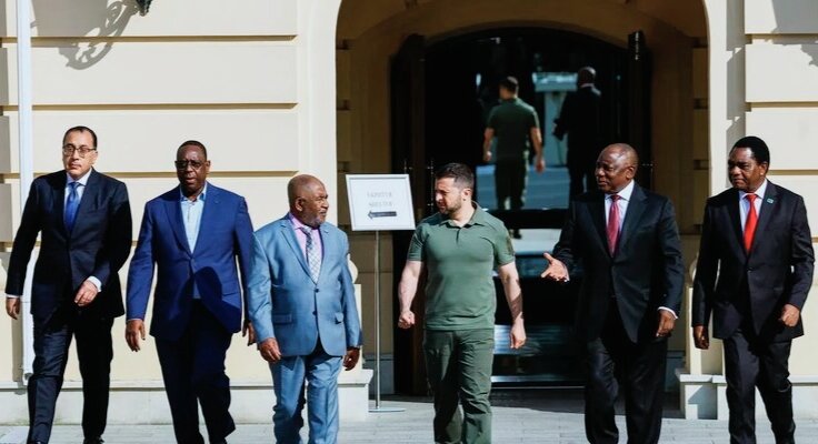 Из открытых источников в интернете. Делегация ЮАР и В.Зеленский.