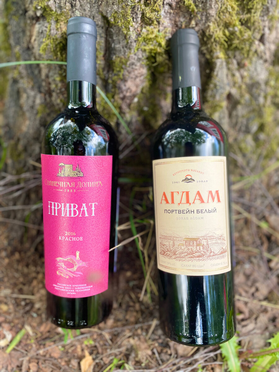 Наши сегодняшние испытуемые