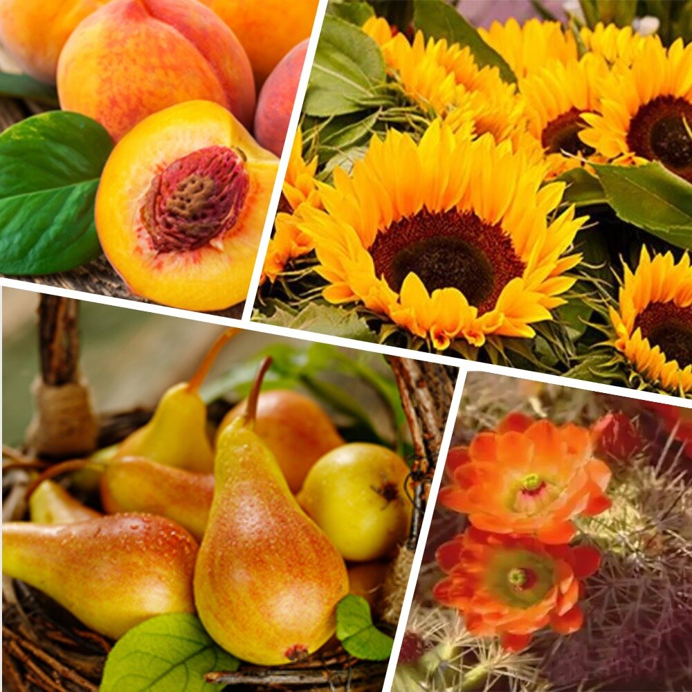 Коллаж автора