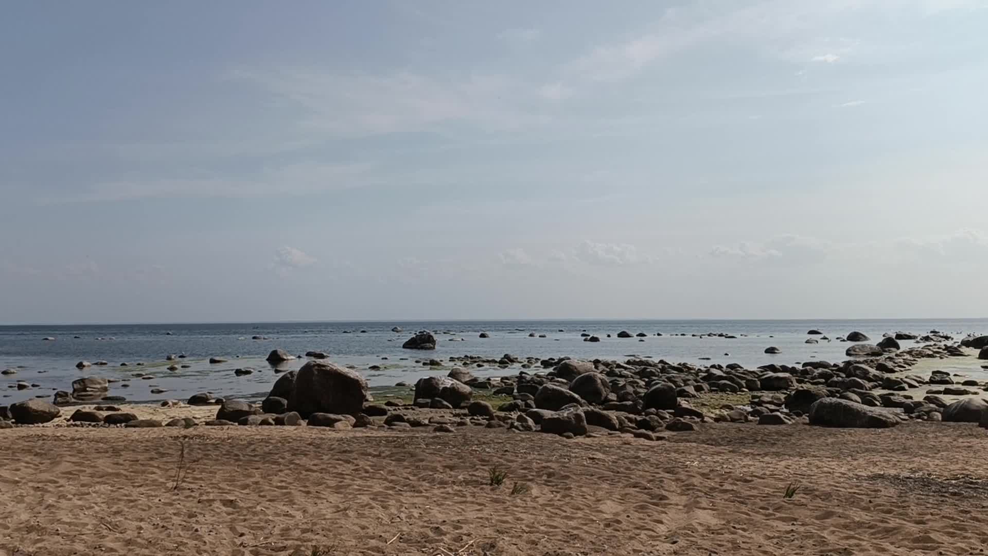 Лисий мыс