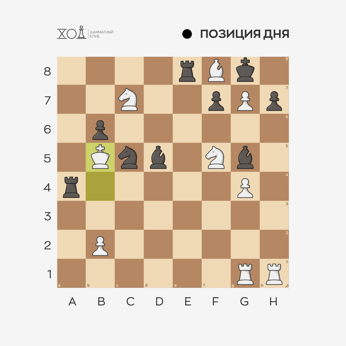 Поиграть в шахматы в Пятигорске