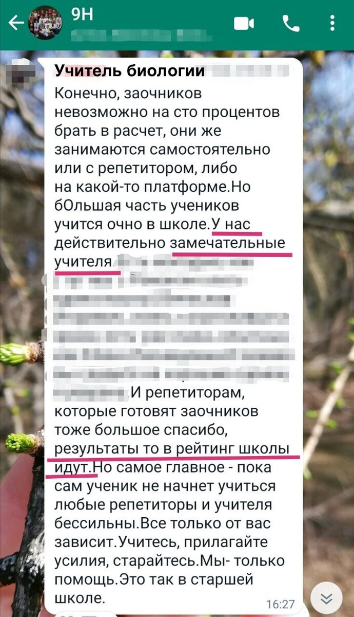 Из переписки нашего школьного чата