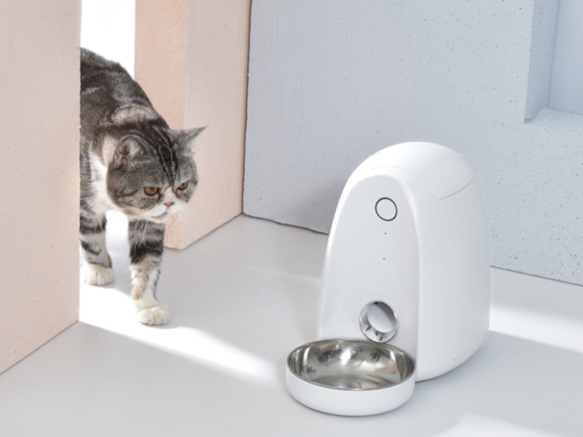    С помощью умных кормушек для животных можно следить за людьми