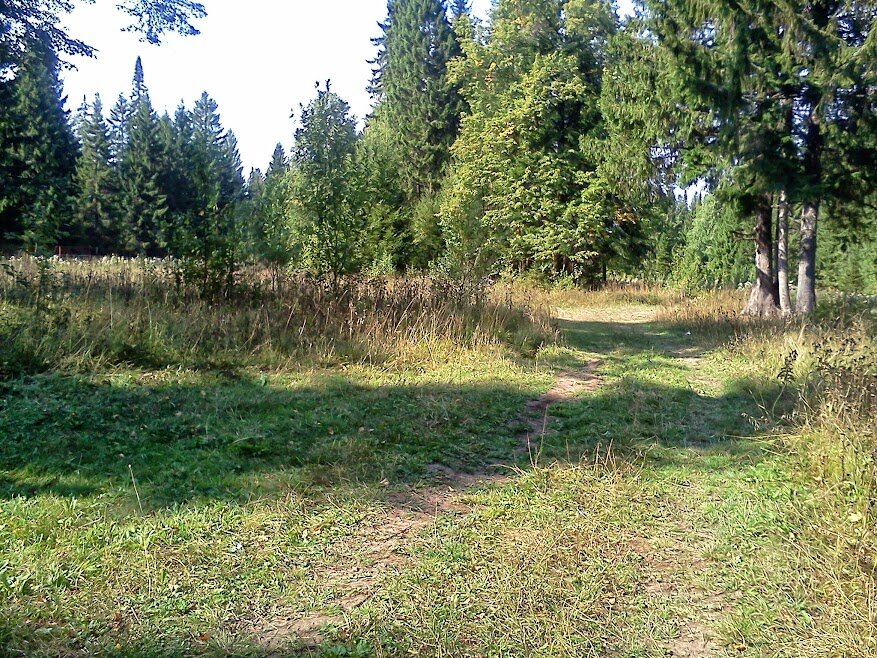 Мечтаю вновь там погулять.