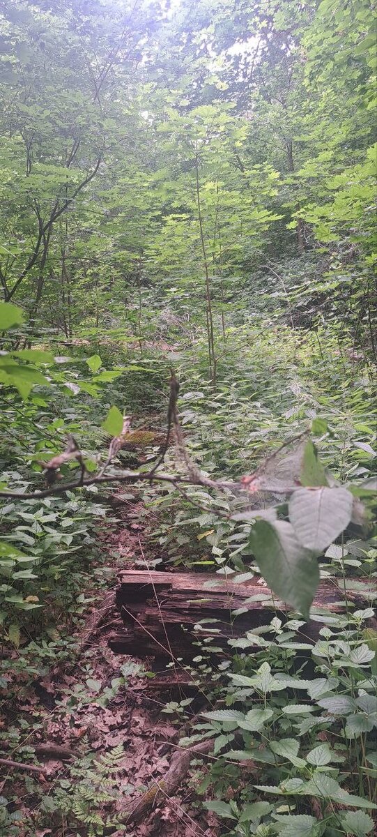 это дорога ))