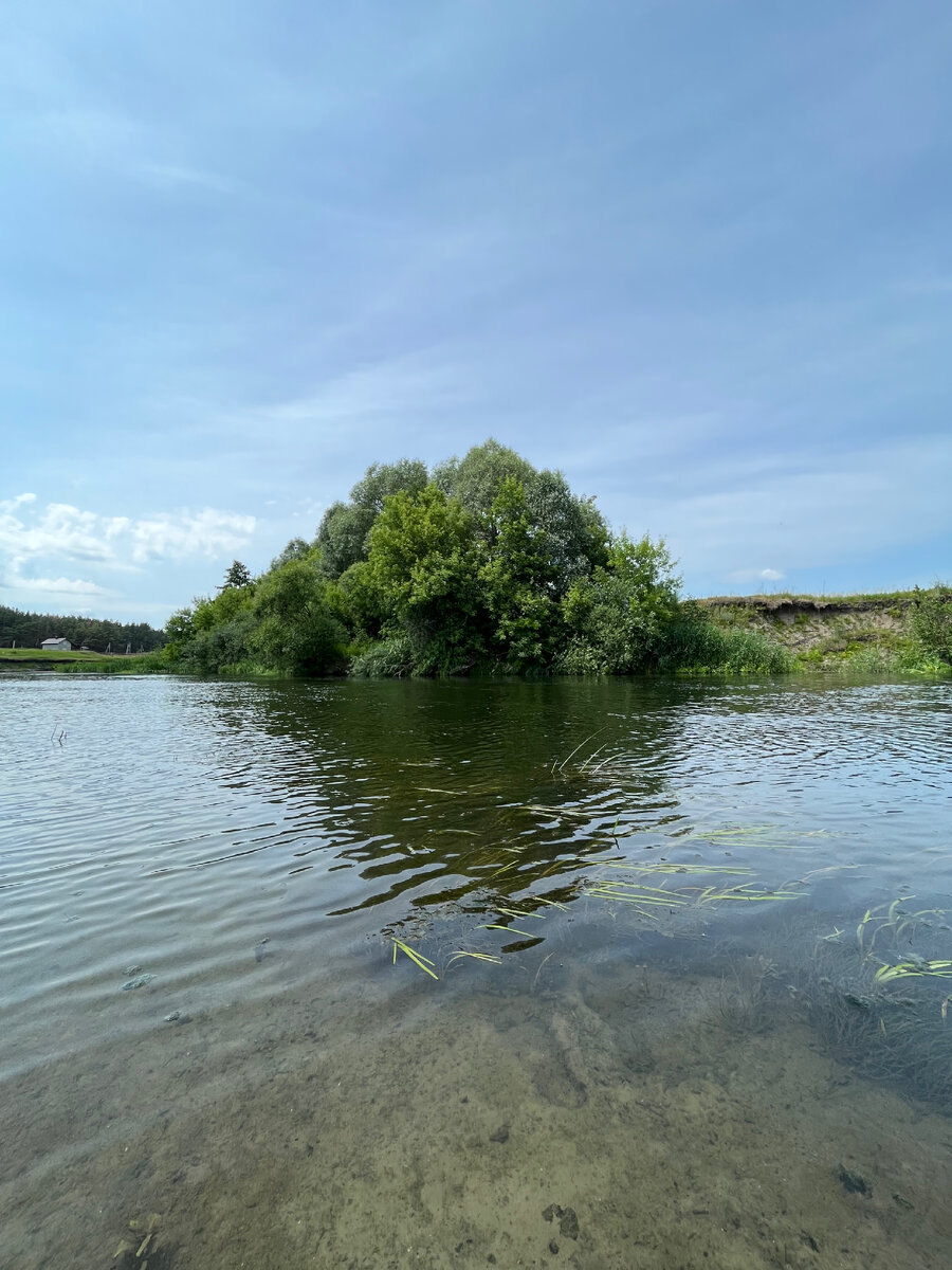 Река Сейм в Курской области, в ней еще можно купаться  💪🧜‍♂️🧞‍♂️🌊🌊🏊‍♂️🚣‍♂️ | Мажорка на пенсии | Дзен