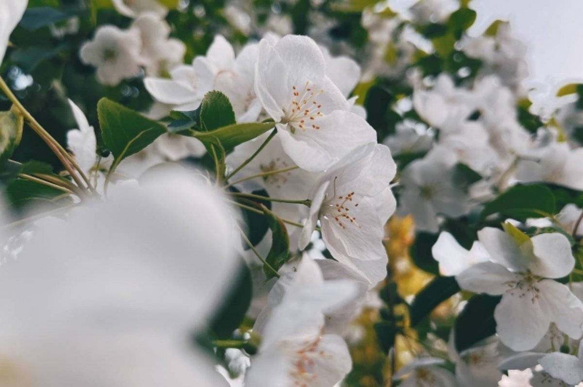    Борис Кубай раскрыл прогноз на ближайшие дни: будет жарко