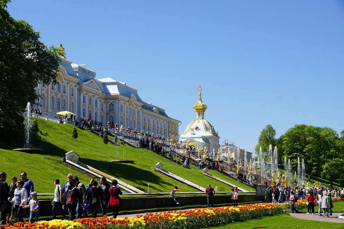 Петергоф сейчас. Петергоф много людей. Фото Петергофа летом. Петергоф фото города и улиц. Петергоф фото туристов.