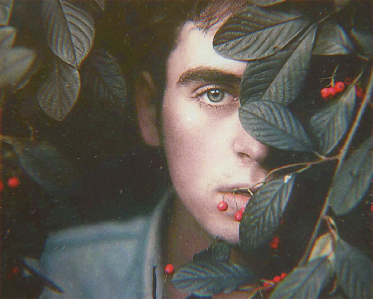 Яндекс Картинки