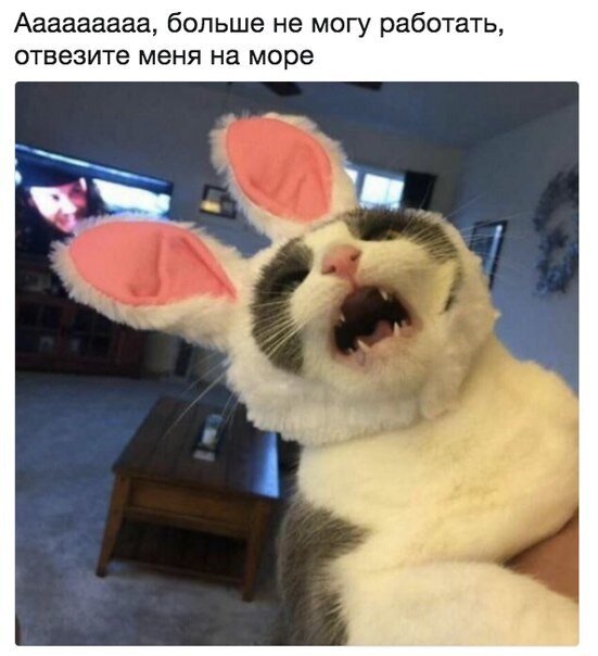 Фото взято из открытых источников Яндекс поиска 