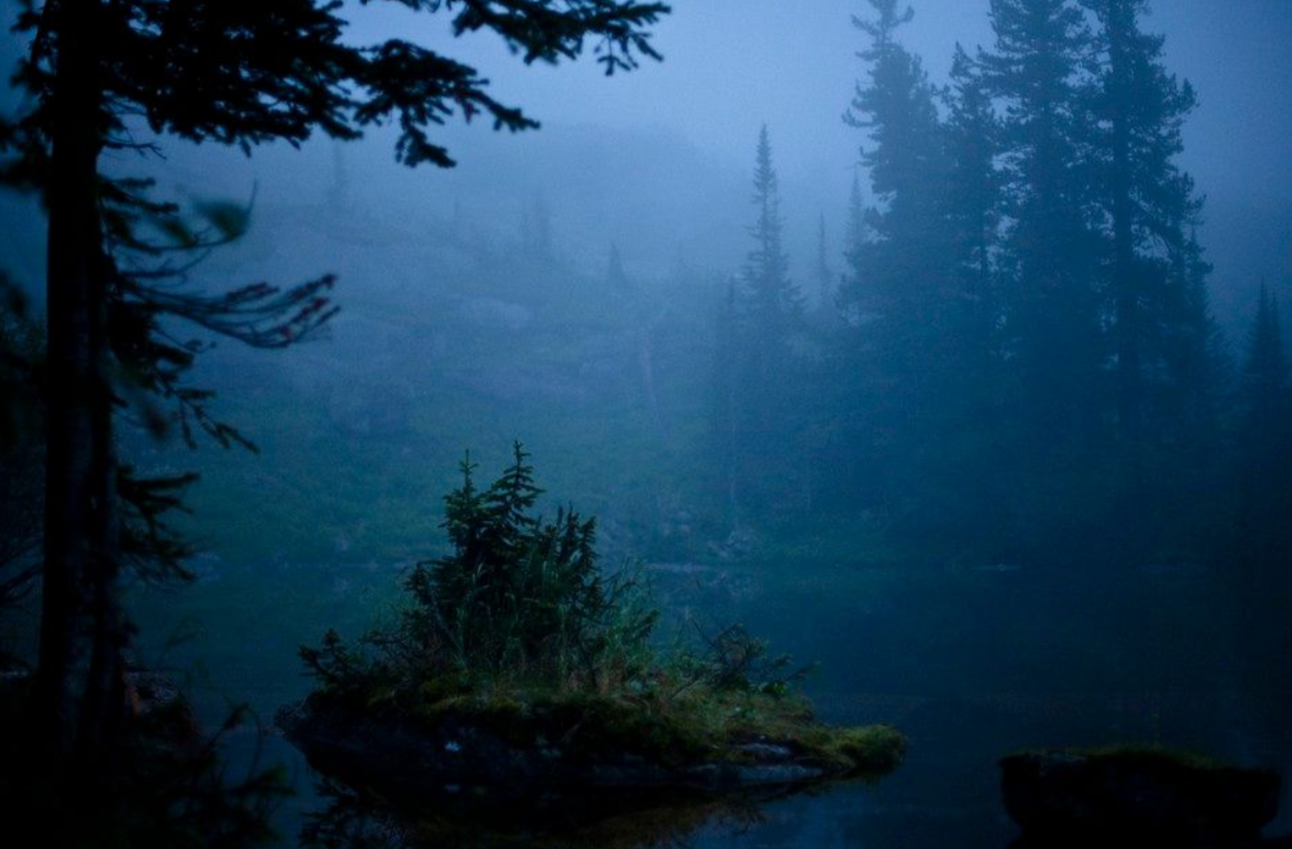 Ночь в тайге рассказ. Тайга ночью. «Ночь в лесу». Таинственная Тайга. Мистическое озеро.