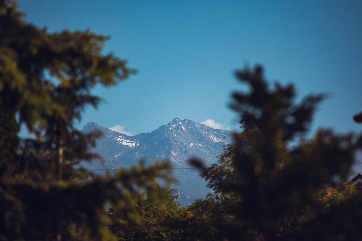 Фото: Антон Буценко