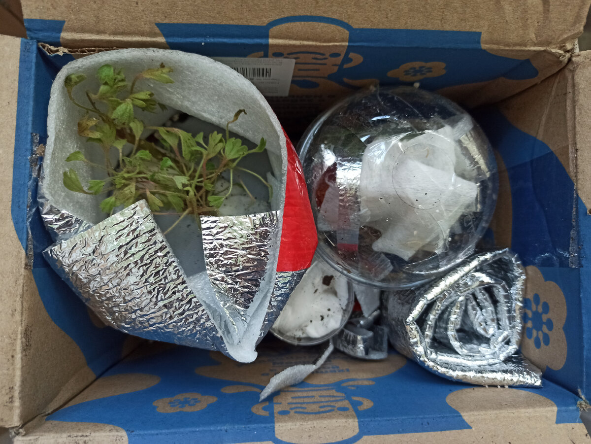 С первого раза угадала, где верх))) 