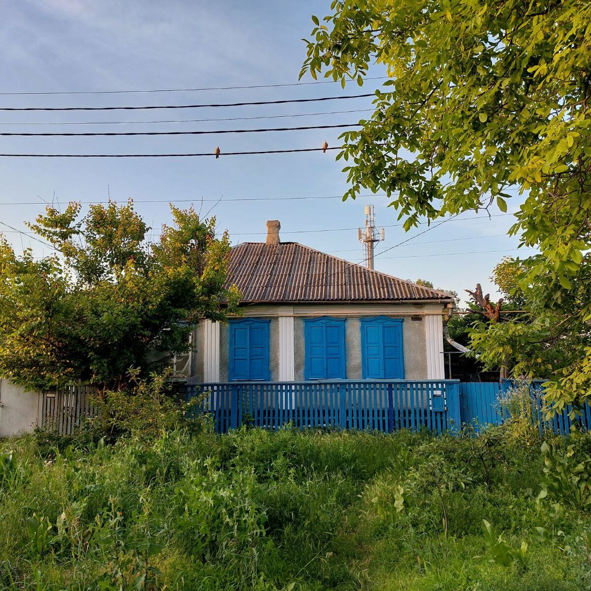 фото автора