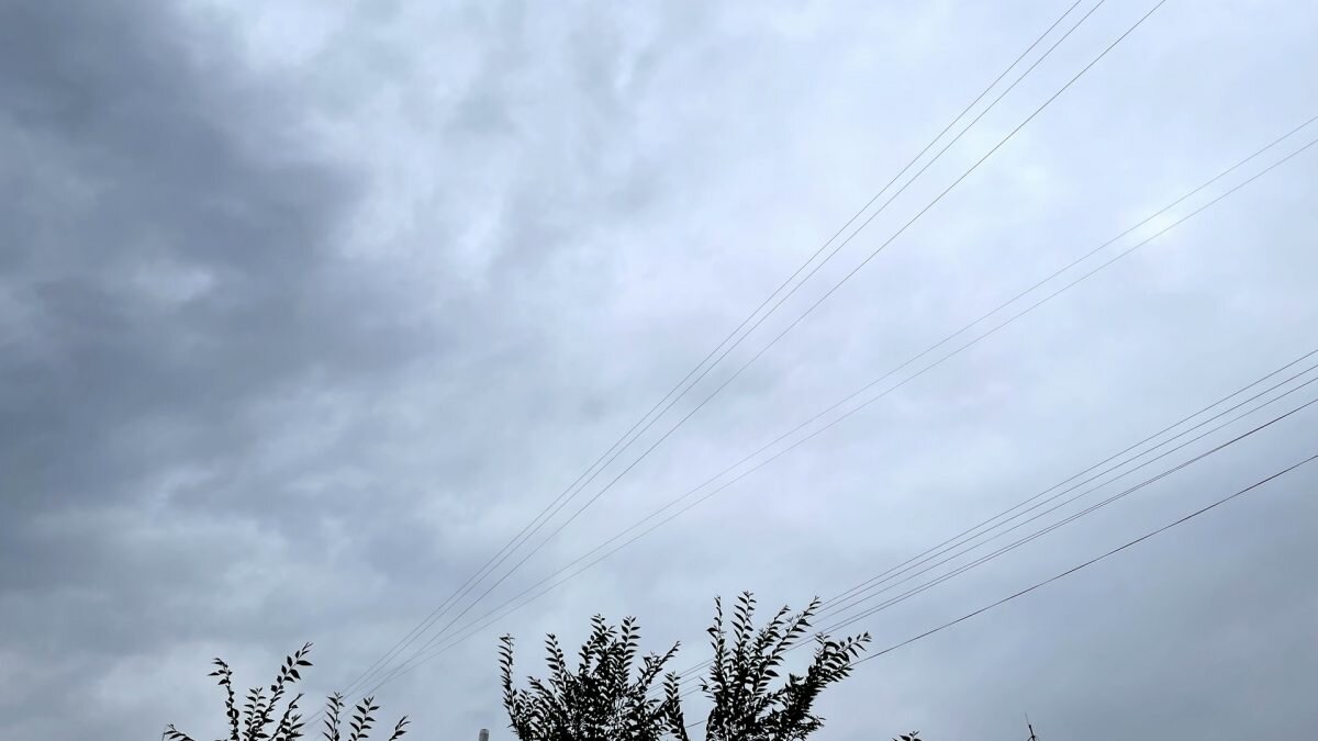    Фото: © Bizmedia.kz Рашид Ахмежанов