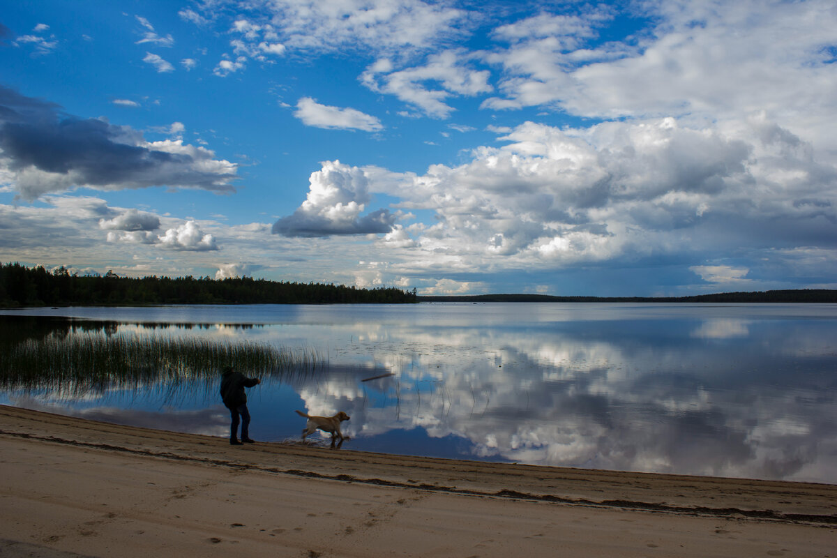 8 оз. Карелия край тысячи озер. Высокощелочная вода озеро Карелии.