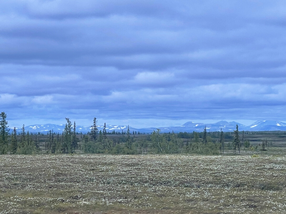 На заднем фоне Уральские горы